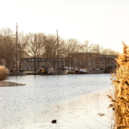 Near Center - New Bathroom & Bed *