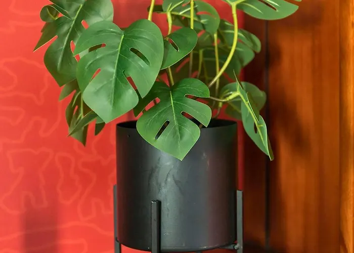 Near Center - New Bathroom & Bed Apartment Tilburg